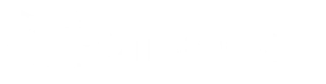 Logo de CatMotion Displays