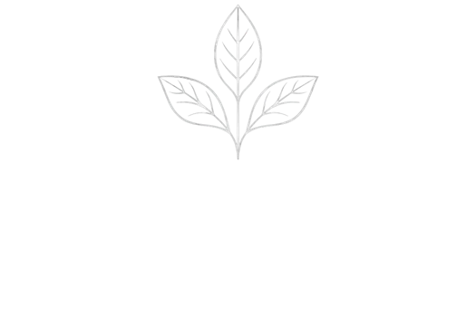 Logo de Docca Tea Room & Food